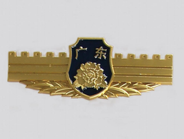 硬胸徽